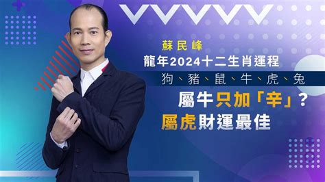 2024肖豬|蘇民峰2024十二生肖運程：屬狗、豬、鼠、牛、虎、。